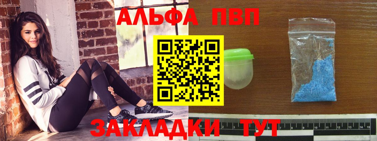 Alfa_PVP СК Ейск