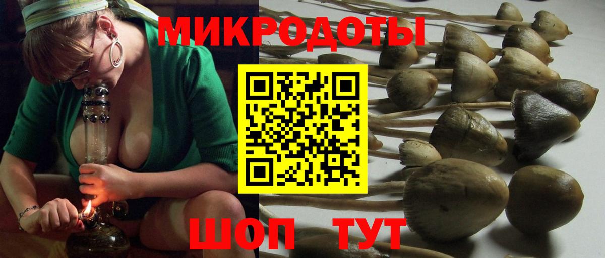 Псилоцибиновые грибы прущие грибы  Псилоцибиновые грибы мицелий  Ейск  Вход с VPN 