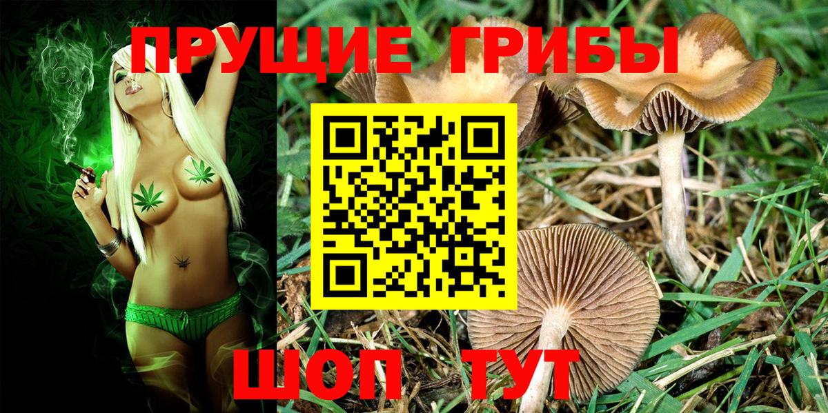 Галлюциногенные грибы MAGIC MUSHROOMS Ейск