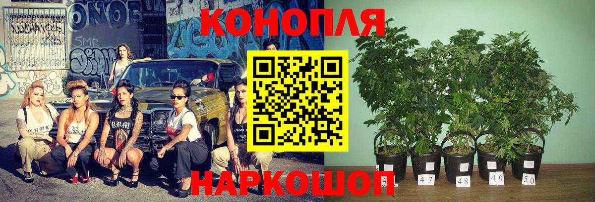 Канабис VHQ Ейск